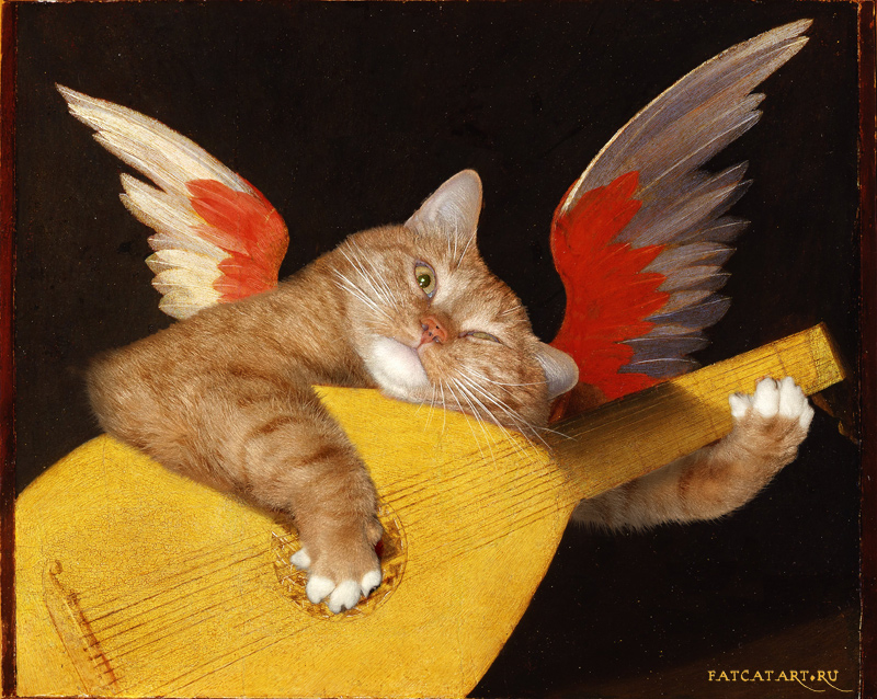 rosso_fiorentino_musical-angel_cat-w