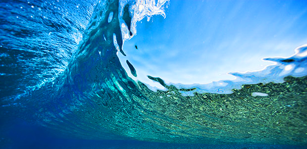 wave4