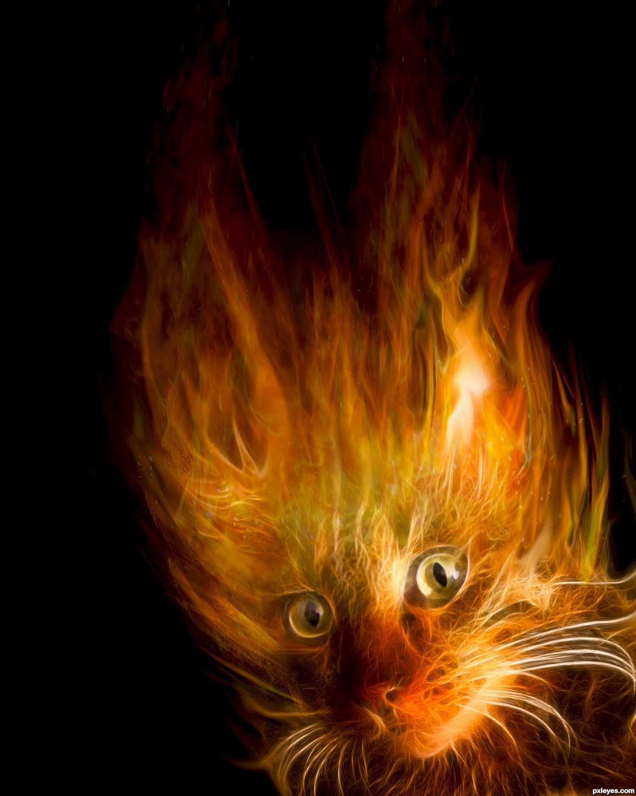 fire-cat