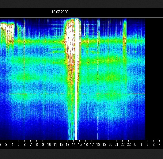 Screen Shot 2020-07-16 at 11.53.23 AM