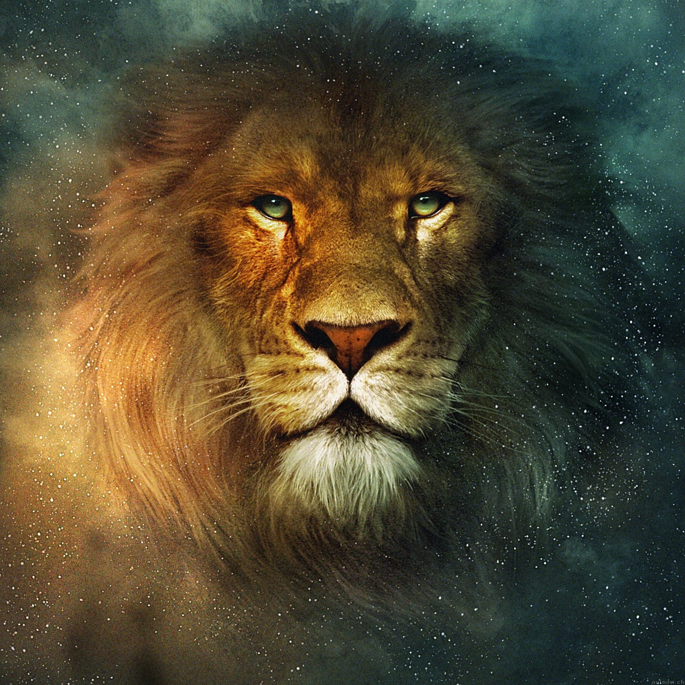 narnia lion Lion films lion facts George of the Jungle 1997 AdventureComedy Kimba the White Lion Leonardo Lion of King Leonardo Lionheart1968 Drama Lions movie Aslan in The Lion images